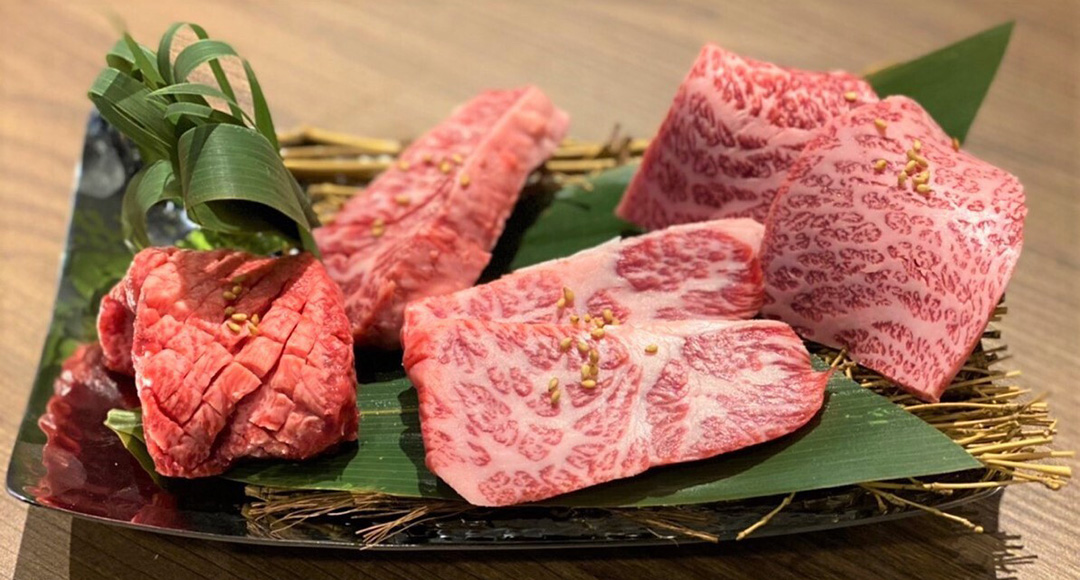 新世界・焼⾁ホルモンぺごぱ大森店